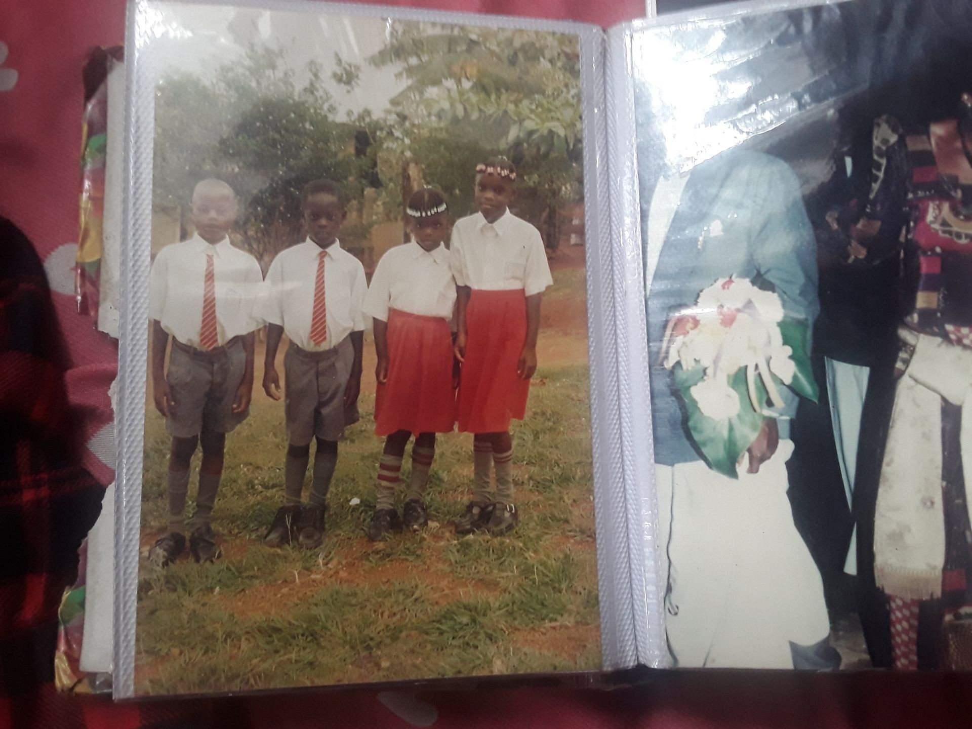 The Quadruplates at 5 years